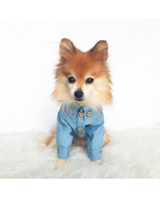 Pet Denim Shirt