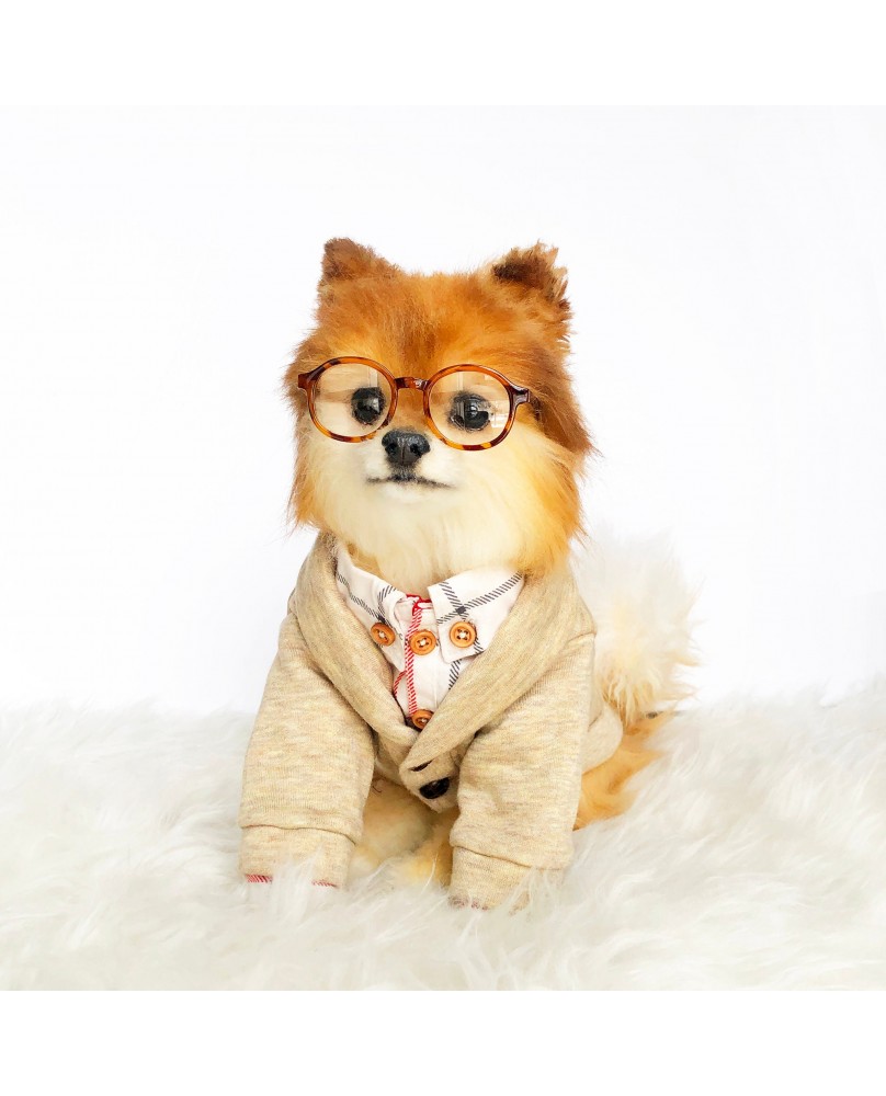 Pet hooded jacket
