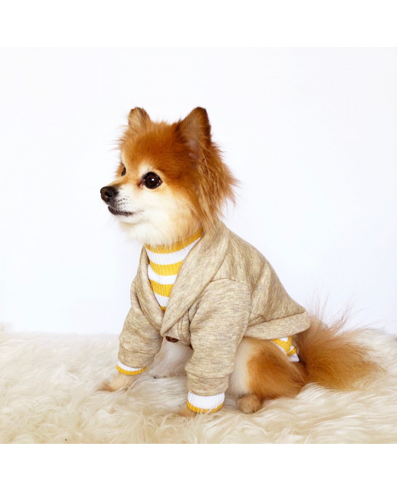 Pet hooded jacket
