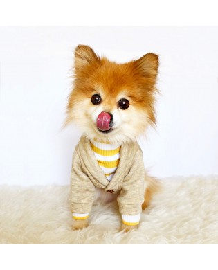 Pet hooded jacket