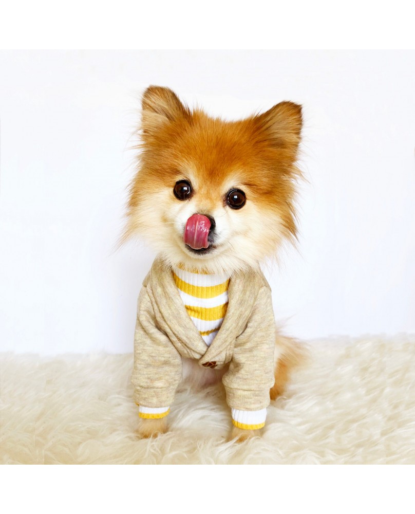 Pet hooded jacket