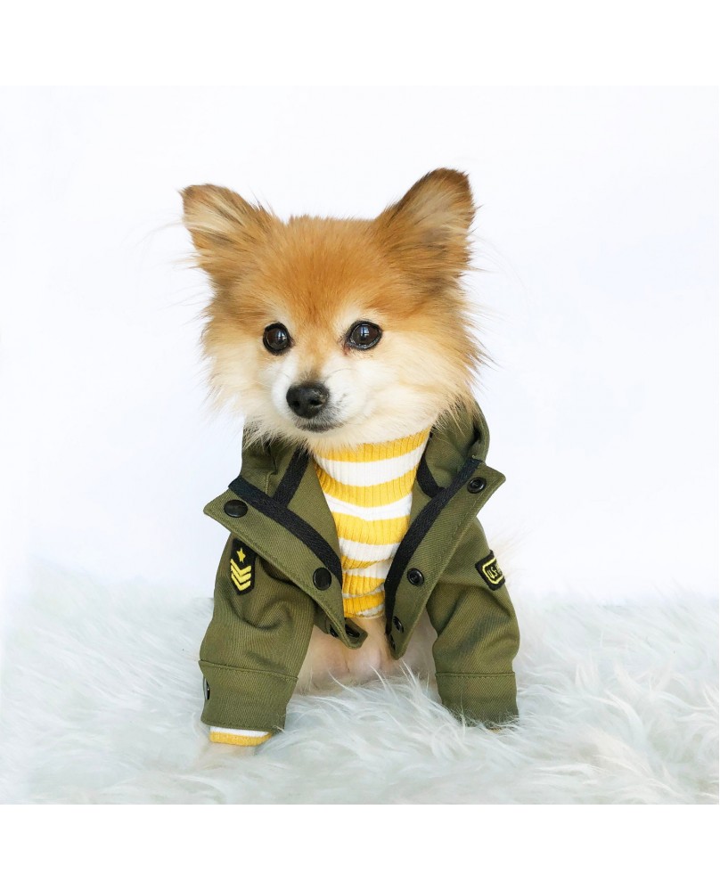 Dog Military Hooded Jacket