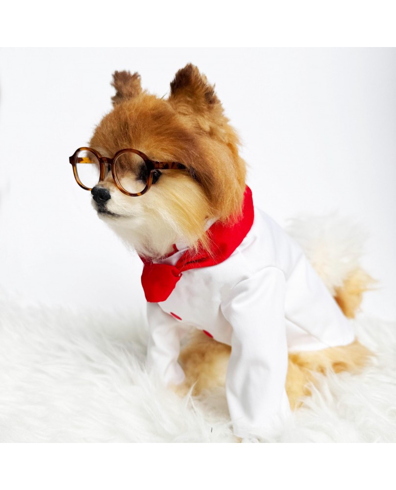Cute pet chef uniform set