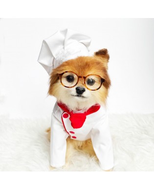 Cute pet chef uniform set