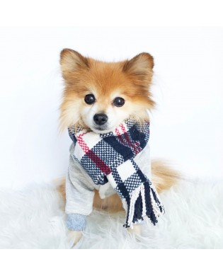 Pet Plaid Scarf