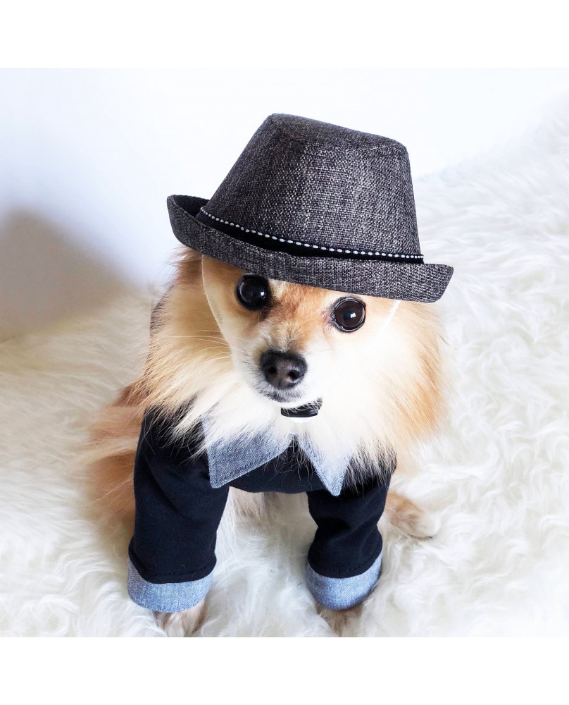 Pet College Style Uniform Top