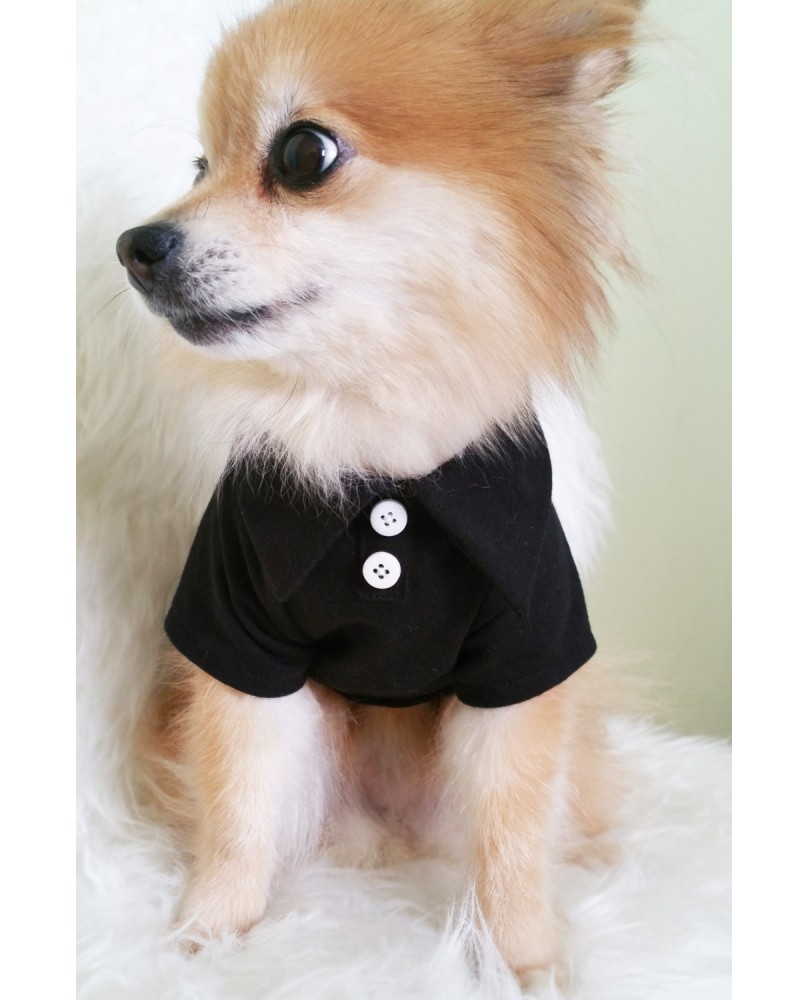 Pet Simple Style Solid Color Button Top