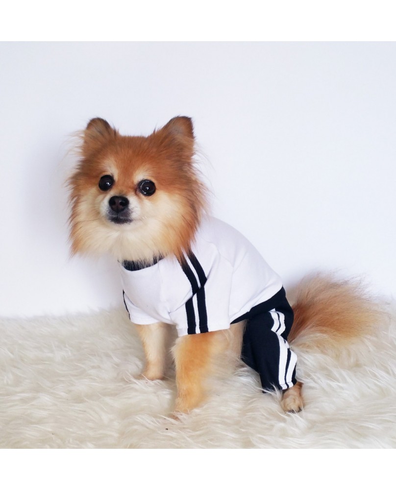 Pet sports style four-legged clothes