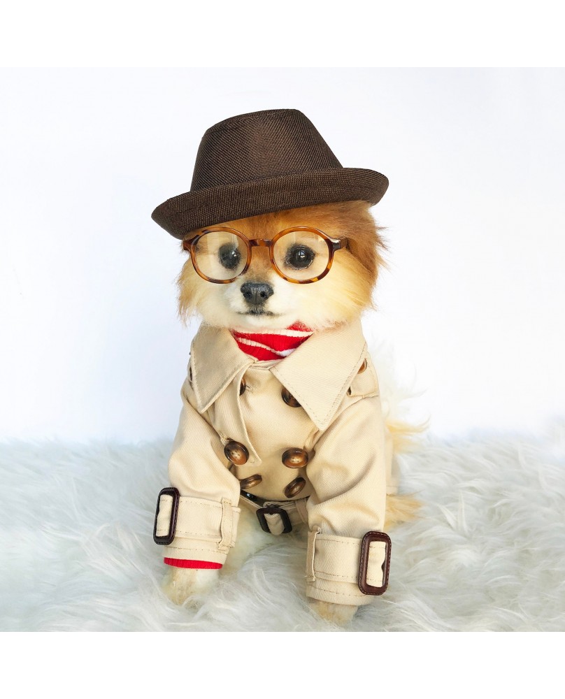 Pet British style windbreaker