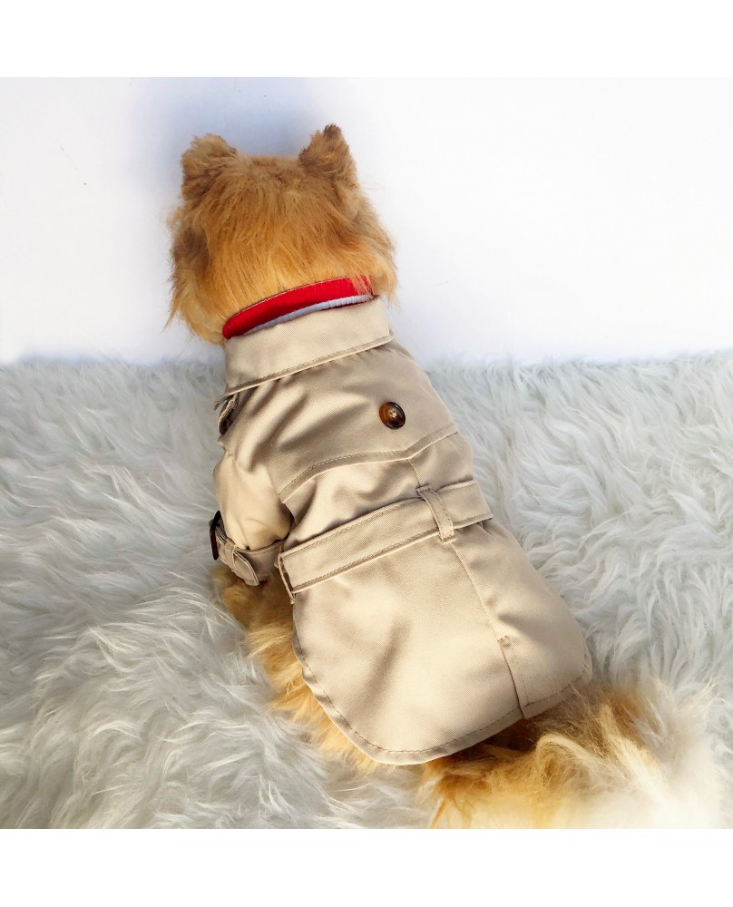 Pet British style windbreaker