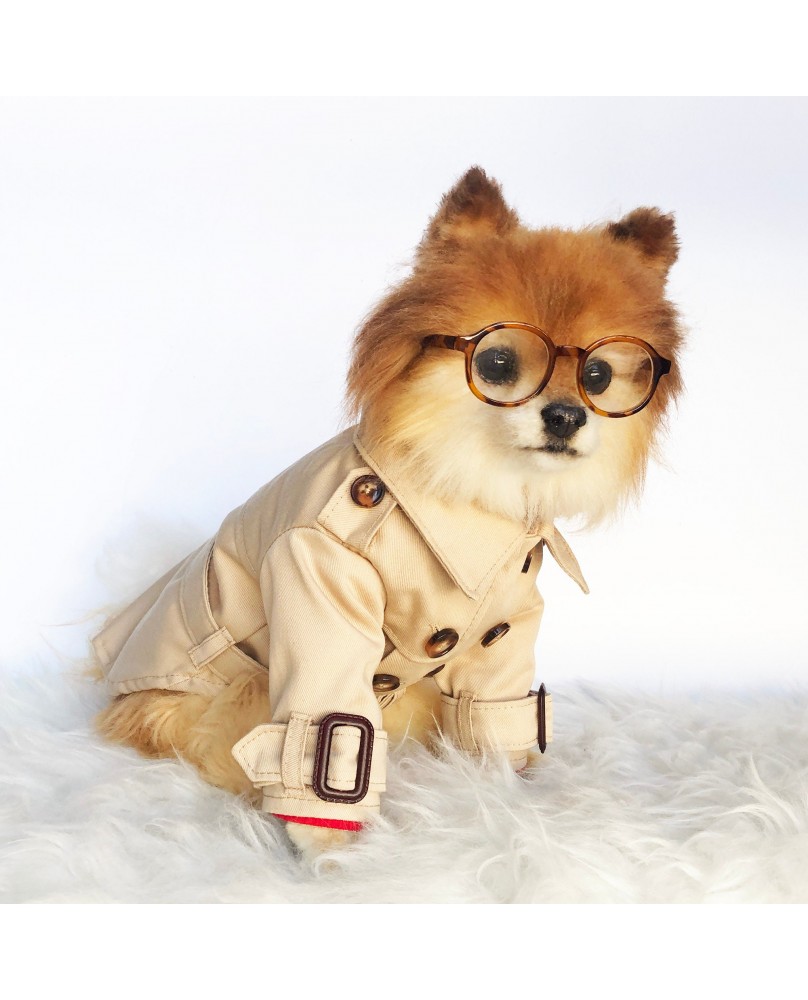 Pet British style windbreaker