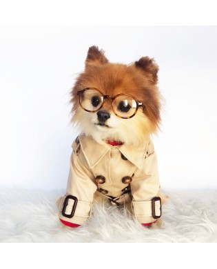 Pet British style windbreaker