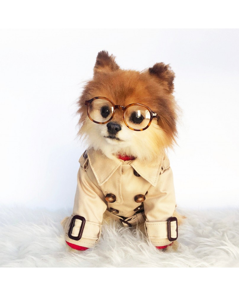 Pet British style windbreaker