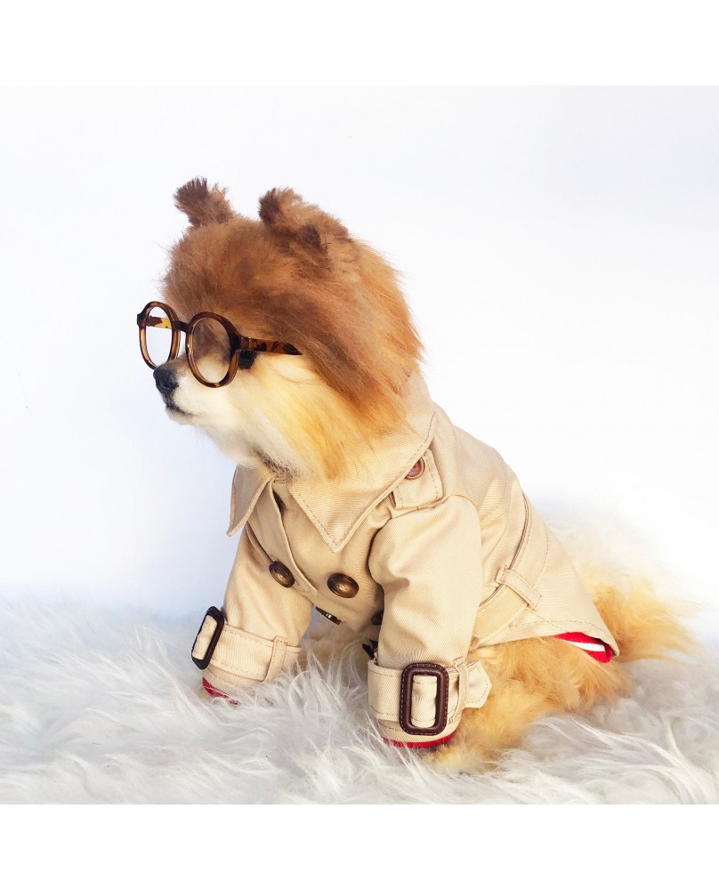 Pet British style windbreaker