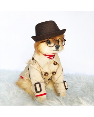 Pet British style windbreaker