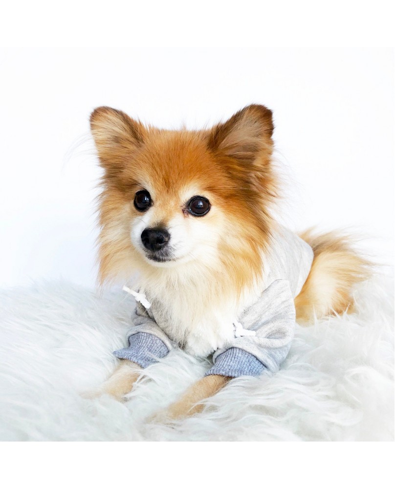 Dog hooded sweatshirt