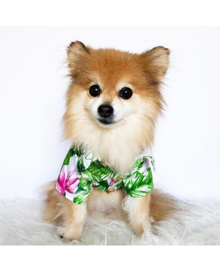 Pet Hawaiian Floral Shirt