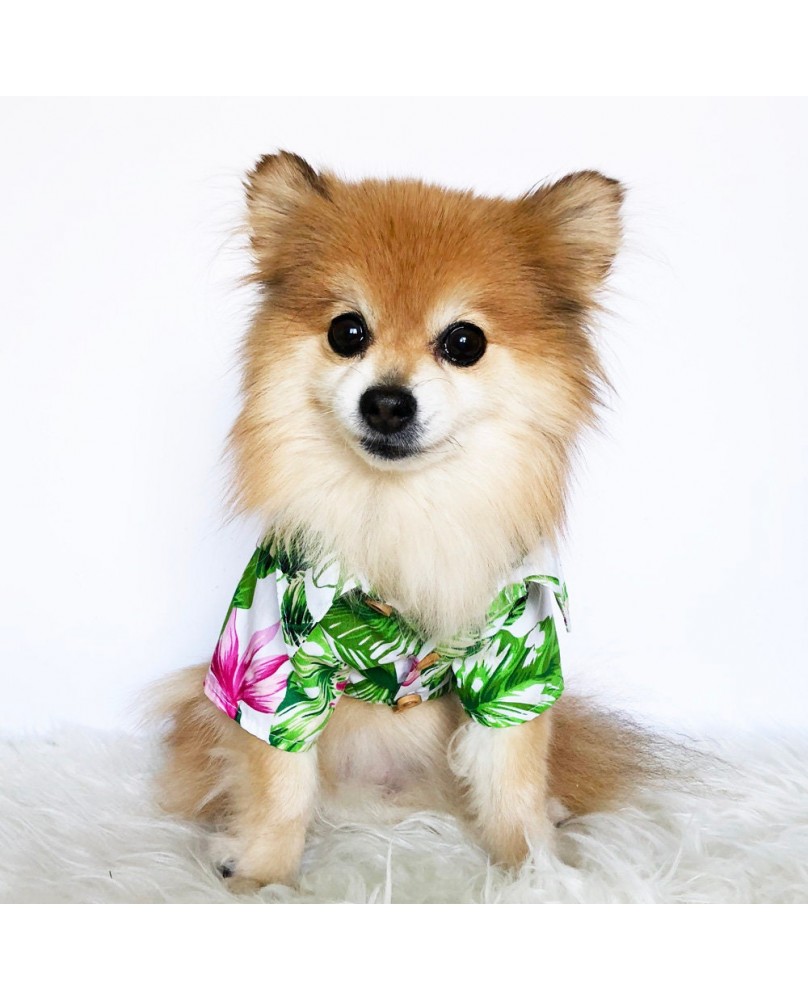 Pet Hawaiian Floral Shirt