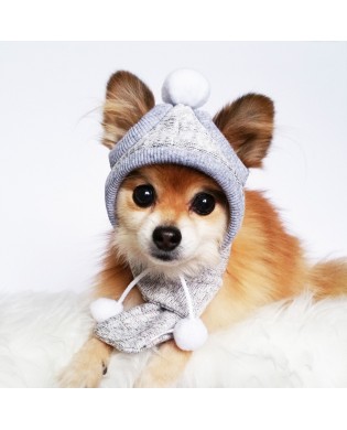 Pet knitted hat and scarf set