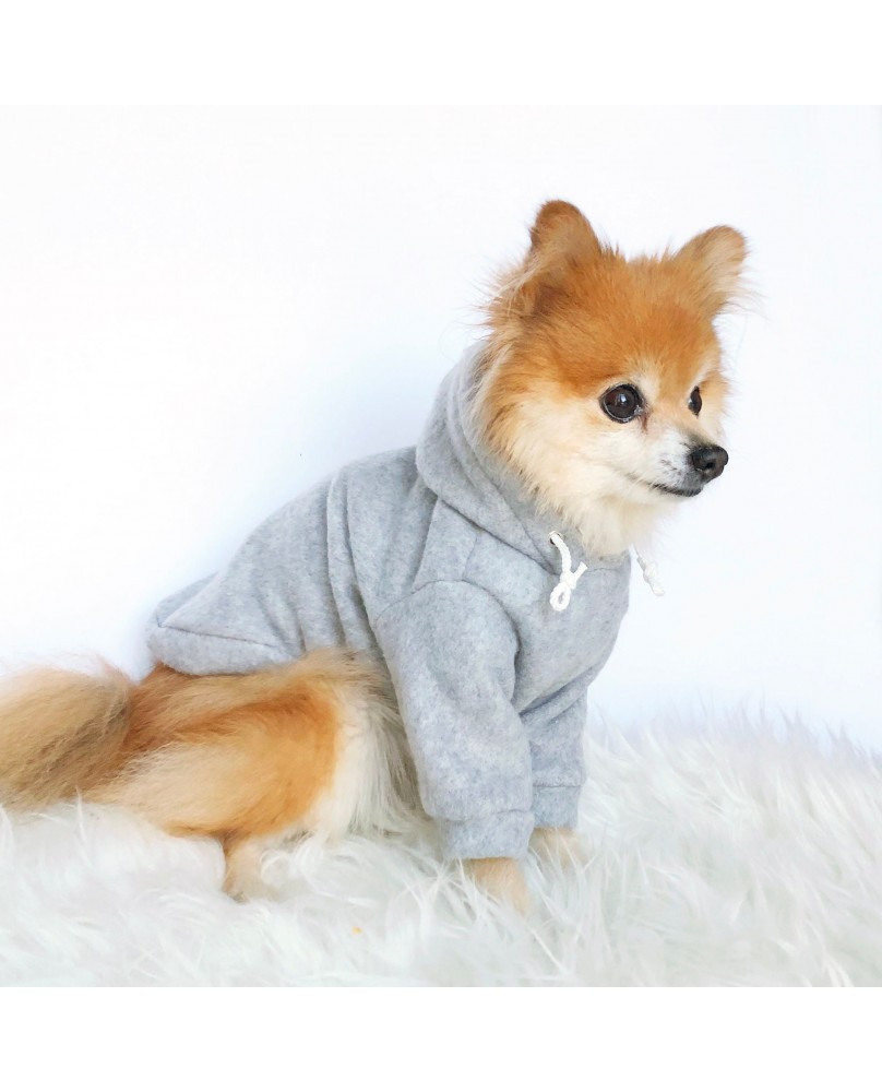 Cute pet hoodie