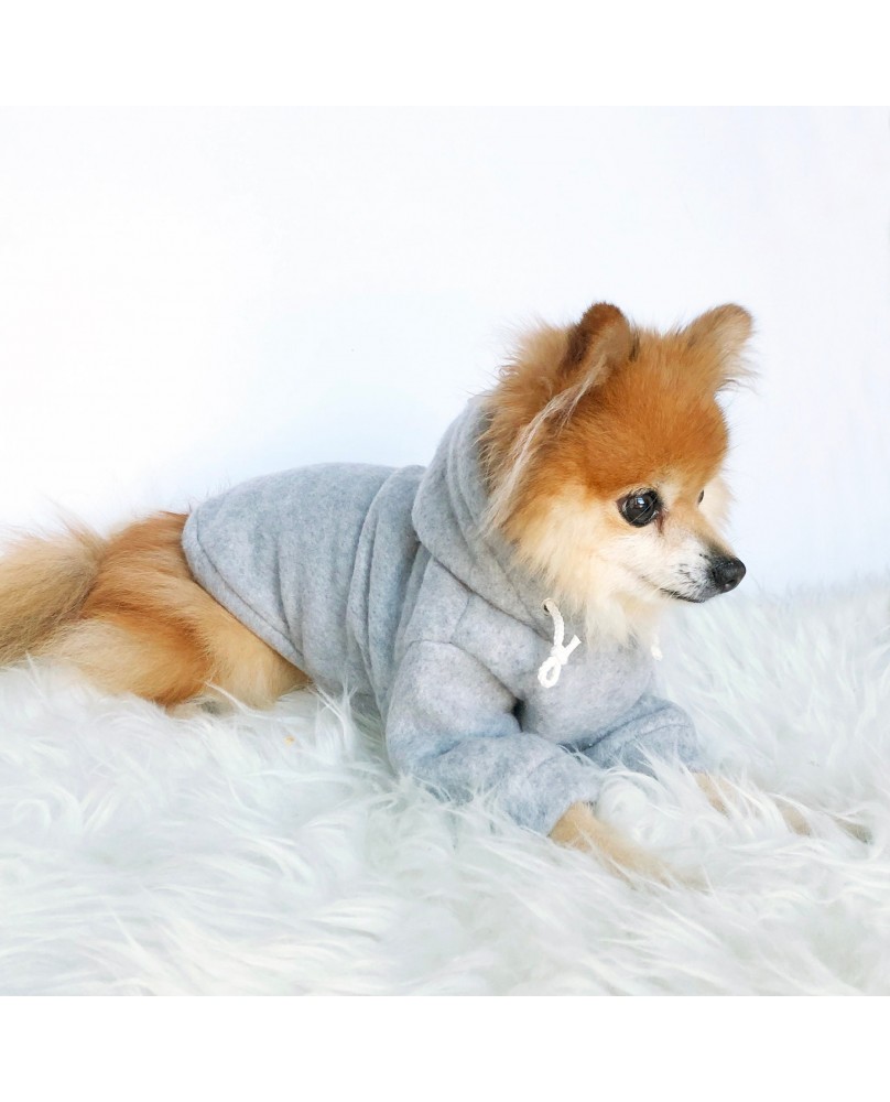 Cute pet hoodie