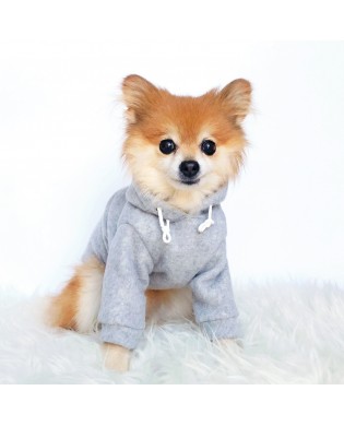 Cute pet hoodie