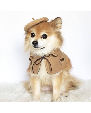 Pet Retro Set